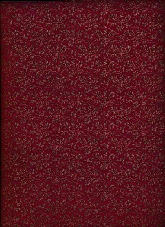 Argyll Gallery: Inside cover pattern, 1901, (1901)