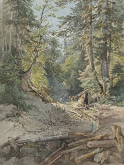 Fallen Tree Prints: Inside the forest, 1842. Creator: Joseph Hoger
