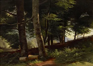 Inside the Forest, 1871-1872. Creator: Fanny Churberg