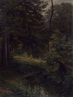 Cordak Prints: Inside the Forest, 1896. Creator: Ludovit Cordak