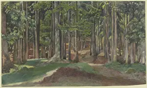 Wove Paper Prints: Inside a forest, 19th century. Creator: Theodor Alt