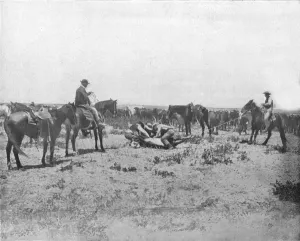 Inspecting a brand on the Prairies, USA, c1900. Creator: Unknown Inspecting a brand on the Prairies, USA, c1900. Creator: Unknown