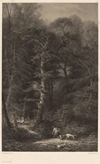 Bodmer Karl Prints: Interieur de Foret. Creator: Karl Bodmer