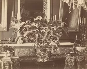 Houseplant Gallery: Interior, 1860s. Creator: Pierre-Ambrose Richebourg