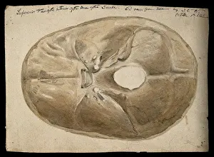 Cross Section Prints: Interior of the base of the human skull, 1854/03/16. Creator: J.C. Whishaw