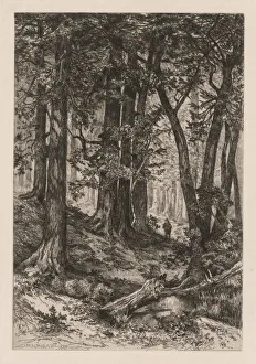 Thomas Moran American Prints: Interior of a California Forest (after Thomas Moran (American, 1837-1926)), , 1888