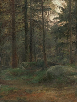 Fir Tree Prints: Interior of Coniferious Woods with Rocks, 1895-1900. Creator: Ludovit Cordak