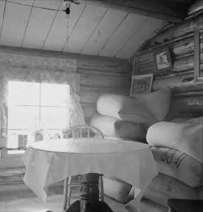 Borrower Prints: Interior of farmers two-room log home