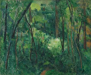 Art Gallery Of Ontario Gallery: Interior of a forest, ca 1885. Artist: Cezanne, Paul (1839-1906)