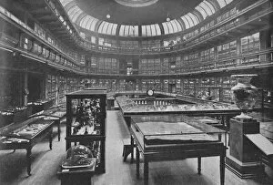 Traill Collection: Interior of the Geological Museum, Jermyn Street, 1904