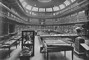 Henry Duff Traill Collection: Interior of the Geological Museum, Jermyn Street, 1904