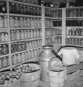 Interior of Mrs. Botners storage cellar, Nyssa Heights, Malheur County, Oregon, 1939. Creator: Dorothea Lange