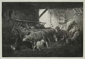 Charles émile Jacque French Gallery: Interior of Sheep Enclosure. Creator: Charles-Emile Jacque (French, 1813-1894)