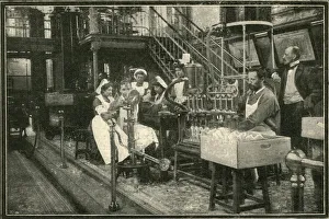 Brewing Gallery: This Is The Interior Of One Of The Tsars Distilleries. 1901. Creator: Unknown
