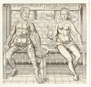 Vein Prints: Interiorum corporis humani partium viva delineatio