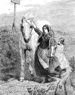 Sieve Prints: The International Exhibition: Fetching the Old Mare Home by F