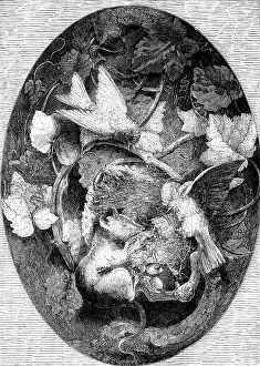 Attacking Collection: The International Exhibition: 'Linnets Defending their Nest against a Dormouse'..., 1862