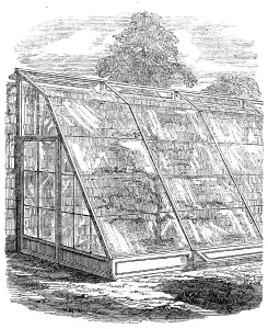 Temperature Prints: The International Exhibition: Scott's glass walls, 1862. Creator: Unknown