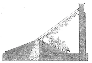 Glasshouse Prints: The International Exhibition: section of a Paxton lean-to vinery, 1862. Creator: Unknown