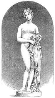 Coloured Prints: The International Exhibition: Venus
