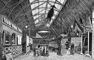 Visitor Prints: The International Fisheries Exhibition: the Canadian Court, 1883. Creator: Unknown