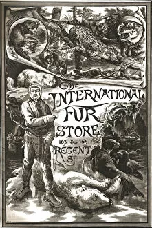 Bear Collection: The International Fur Store, 163-165 Regent Street, 1888. Creator: Unknown