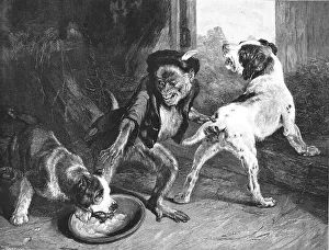Sir E Landseer Prints: The Intruding Puppies, after Sir Edwin Landseer, RA, 1891. Creator: Harrison