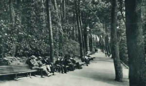 Bournemouth Gallery: The Invalids Walk, c1910