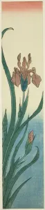 Stream Gallery: Iris, 1840s. Creator: Ando Hiroshige