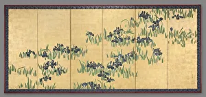 Irises, 1700s. Creator: Watanabe Shik? (Japanese, 1683-1755)