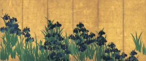 Byobu Gallery: Irises, 18th century