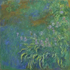Monet Claude Gallery: Irises, 1914 / 17. Creator: Claude Monet