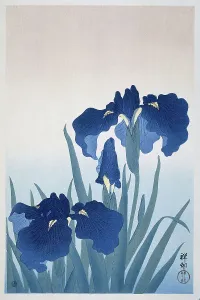Irises, 1925-1936. Creator: Ohara, Koson (1877-1945)