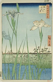 Wetland Prints: Irises at Horikiri (Horikiri no hanashobu)