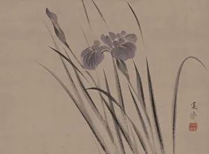 Irises Prints: Irises sway in the wind. Creator: Kansai; Mori (1814-1894)