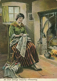 Images Dated 22nd May 2013: An Irish Cottage Industry - Flowering