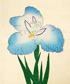 Irojiman, No. 80, 1890, (colour woodblock print)