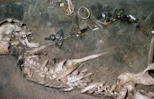 An Iron Age womans grave from Denmark, 3rd century BC