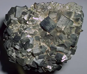 Sulphur Prints: Iron Pyrites