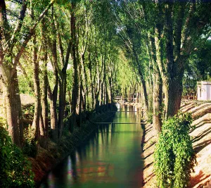 Irrigation Prints: Irrigation canal (aryk) in the Murgab Estate