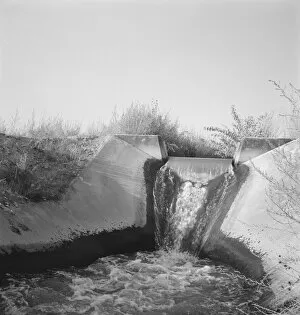 Bank Gallery: Irrigation canal seven miles west of Nyssa, Malheur County, Oregon, 1939. Creator: Dorothea Lange