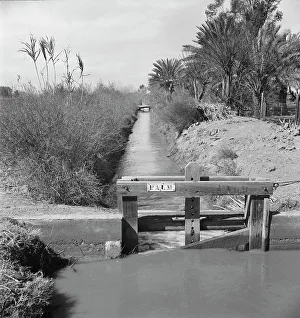 Irrigation Prints: Irrigation ditch along the road