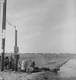 Irrigation Prints: Irrigation pump on edge of field