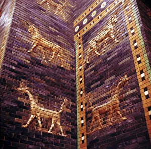Detail of the Ishtar Gate, Babylon, c604-c562 BC