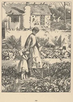 Dove Prints: The Island Bee (from Wayside Posies: Original Poems of the Country Life), 1867
