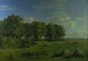 Dankvart Dreyer Prints: The Island of Brandso with Wedellsborg Forest