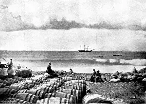 Export Prints: The Island of Montserrat (West Indies) - barquentine 'Hilda' loading lime juice