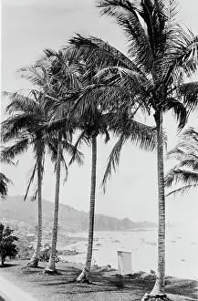 Panama Prints: Island of Taboga and bay, Panama, c.between 1910 and 1920. Creator: Unknown