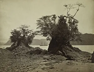 John Moran Prints: Islands in Limon Bay, 1871. Creator: John Moran (American, 1829-1902)