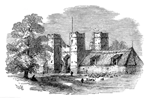 Gatehouse Prints: The Isle of Thanet: Daundelion, 1873. Creator: Unknown